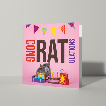 Cat'chy Images "CongRATulations"