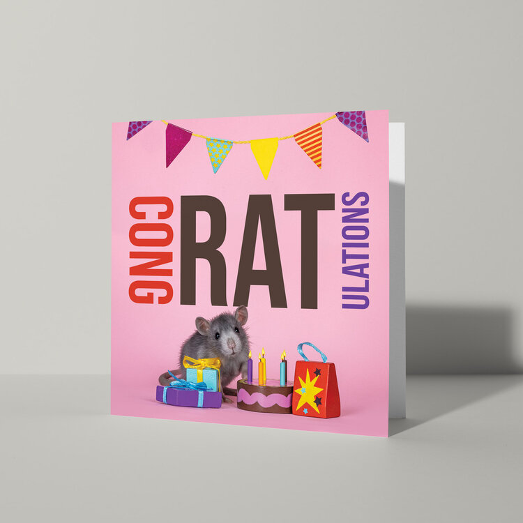 Cat'chy Images "CongRATulations"