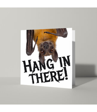 Cat'chy Images "Hang in There!"