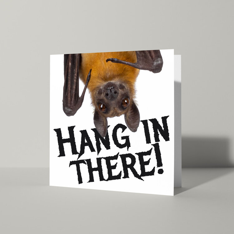 Cat'chy Images "Hang in There!"