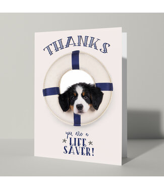 Cat'chy Images "Thanks you are a Life Saver!"