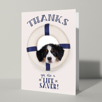 Cat'chy Images "Thanks you are a Life Saver!"