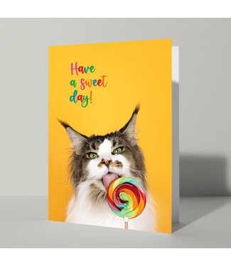 Cat'chy Images "Have a Sweet Day!"
