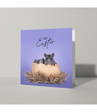 Cat'chy Images "Happy Easter"