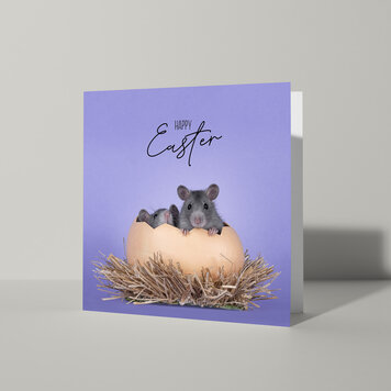 Cat'chy Images "Happy Easter"