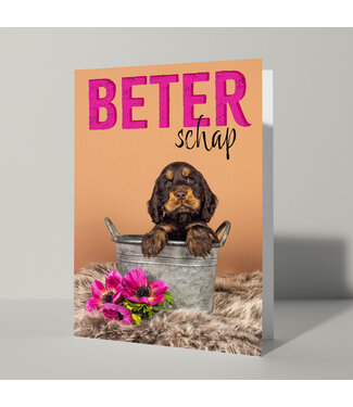 Cat'chy Images "Beterschap"