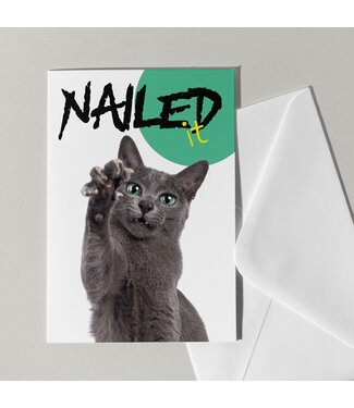 Cat'chy Images "Nailed it!"