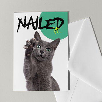 Cat'chy Images "Nailed it!"