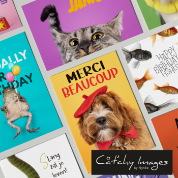 Cat'chy Images