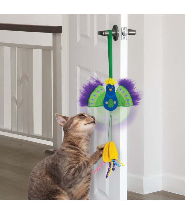 KONG® Kat CONNECTS "Pauw"