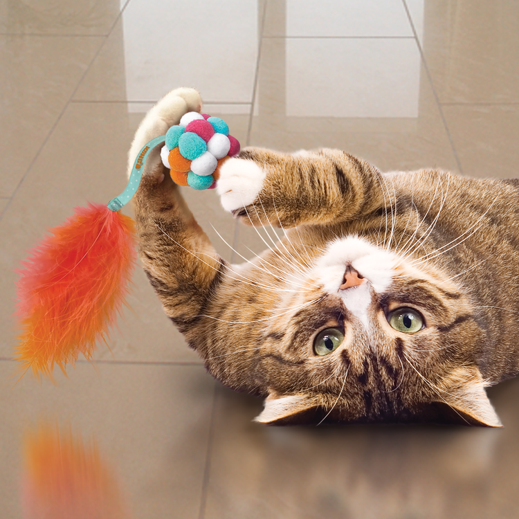 KONG® Cat ACTIVE "Bubble Ball"
