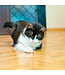 KONG® Cat ACTIVE "Laser Pointer"