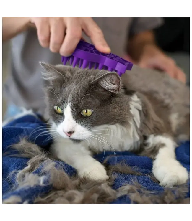 KONG® Cat "ZoomGroom"