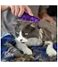 KONG® Kat "ZoomGroom"