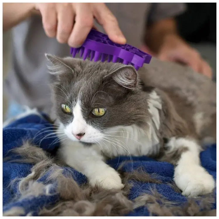 KONG® Cat "ZoomGroom"