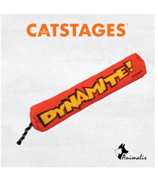 Outward Hound CATSTAGES "Green Magic Dynamite"