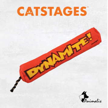 Outward Hound CATSTAGES "Green Magic Dynamite"