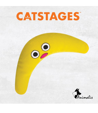 Outward Hound CATSTAGES "Green Magic Boomerang Buddy"