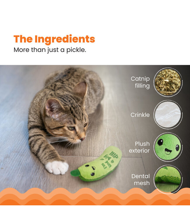 Outward Hound CATSTAGES "Crunchy Pickle Kicker"