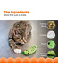 Outward Hound CATSTAGES "Crunchy Pickle Kicker"