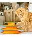 Outward Hound CATSTAGES "Tower of Tracks"