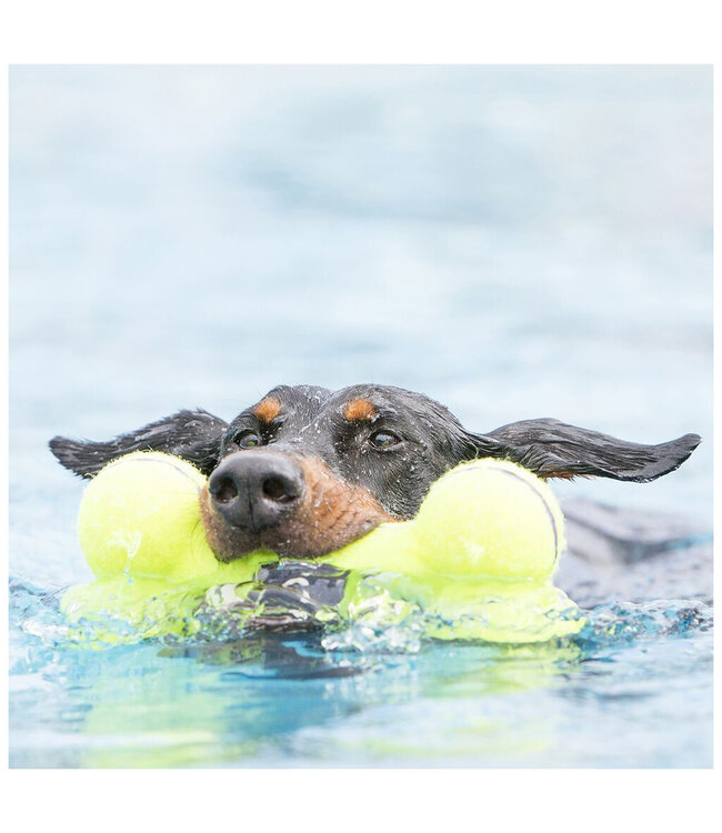 KONG® Air Squeaker Bone