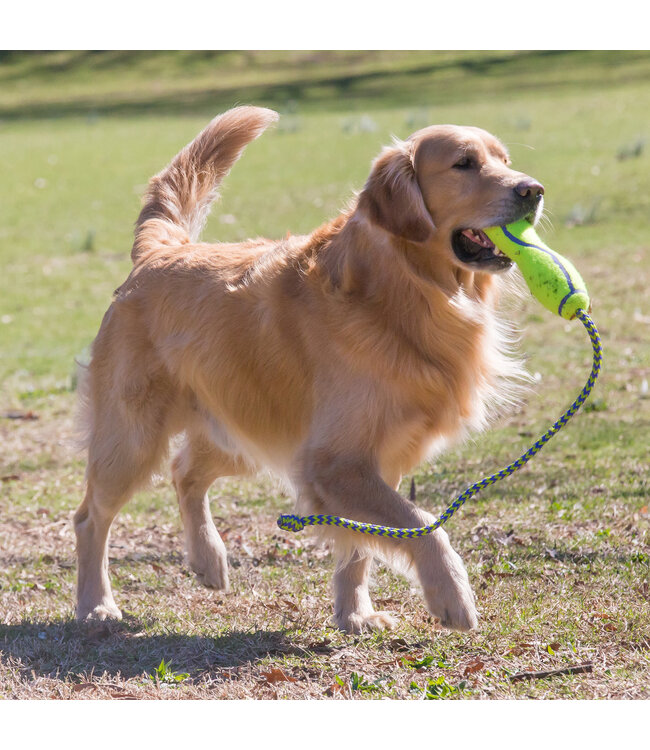 KONG® Air Fetch Stick L met touw