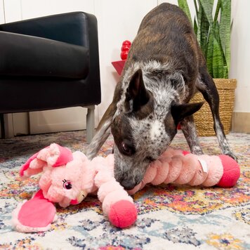 KONG® SHAKERS Crumples XL Bunny