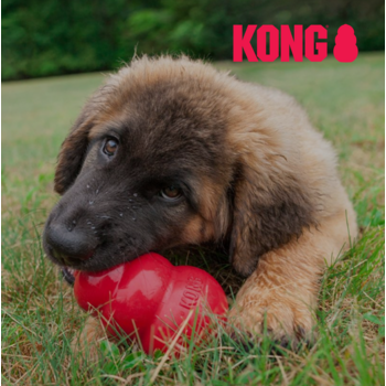 KONG®
