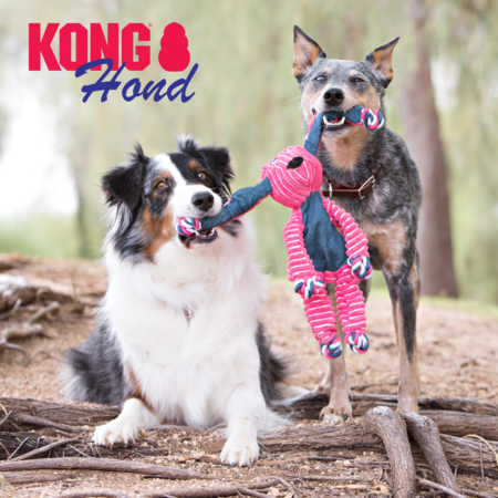 KONG® Hund