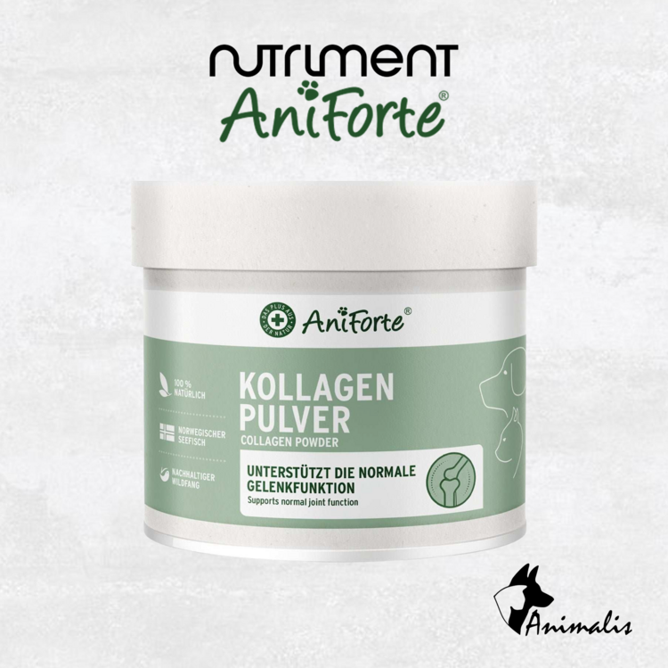 Nutriment ANIFORTE "Collagen Powder"