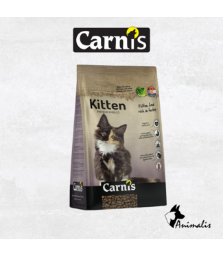 Carnis KAT "Kitten"