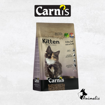 Carnis KATZE "Kitten"