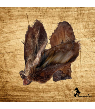 Animalis "Rinderohren Fell und Muschel" (1 st)