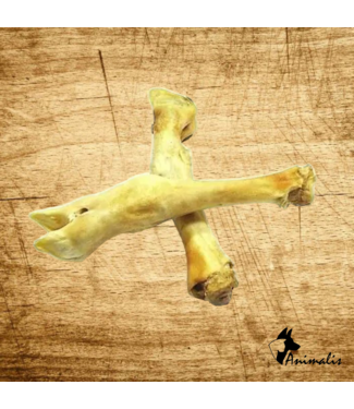 Animalis "Lamspoot" (1 st)