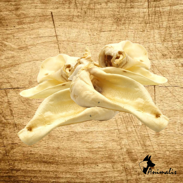 Animalis "Lammohren"