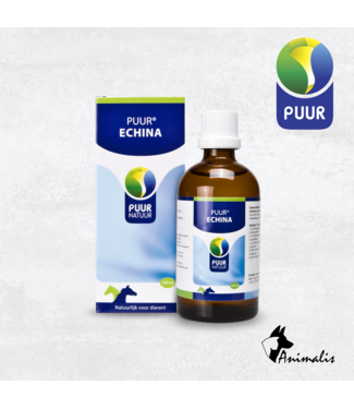 NML Health PUUR "Echina"
