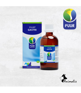 NML Health PUUR "Gastri (Maag)" (100 ml)