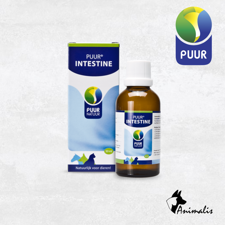 NML Health PUUR "Intestine (Darm)" (50 ml)