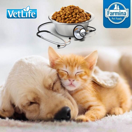 Vetlife Produkte