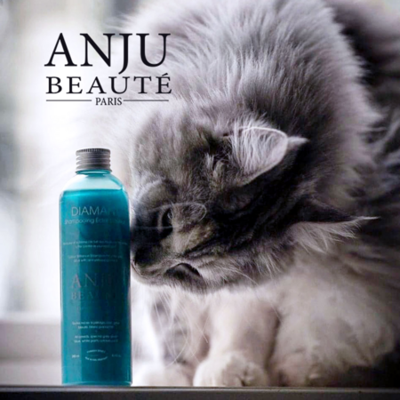 Anju Beauté