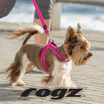 ROGZ