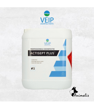 VEIP Actisept Plus Disinfection Spray (Skin)