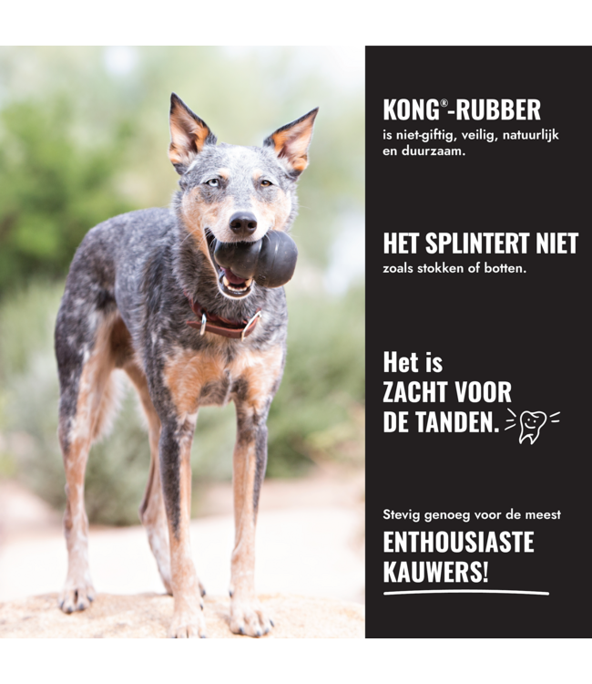 KONG® BAL "Extreme"