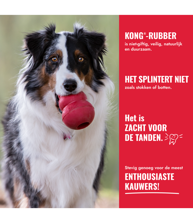 KONG® BALL "Classic"