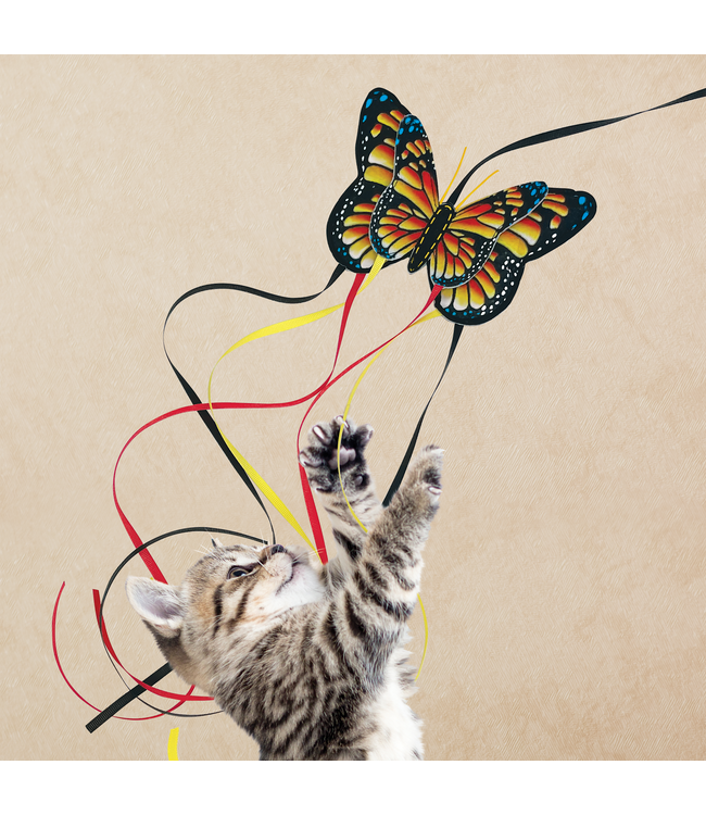 KONG® Cat TEASER "Butterfly"