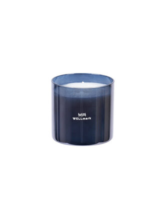 Wellmark Medium scented candle Brave Night
