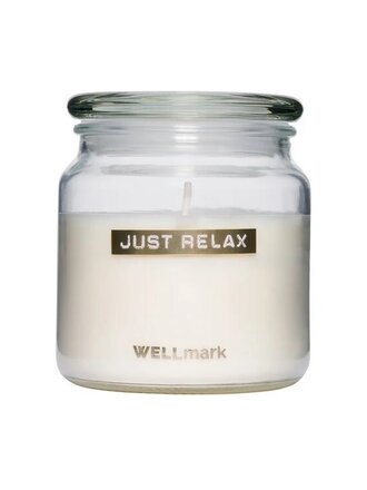 Wellmark LARGE SCENTED CANDLE SUNNY HAZE