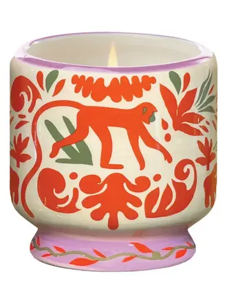 Paddywax Coconut & Amber - A Dopo 8 oz Candle
