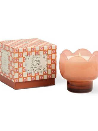 Paddywax Tulip candle Cactis Flower